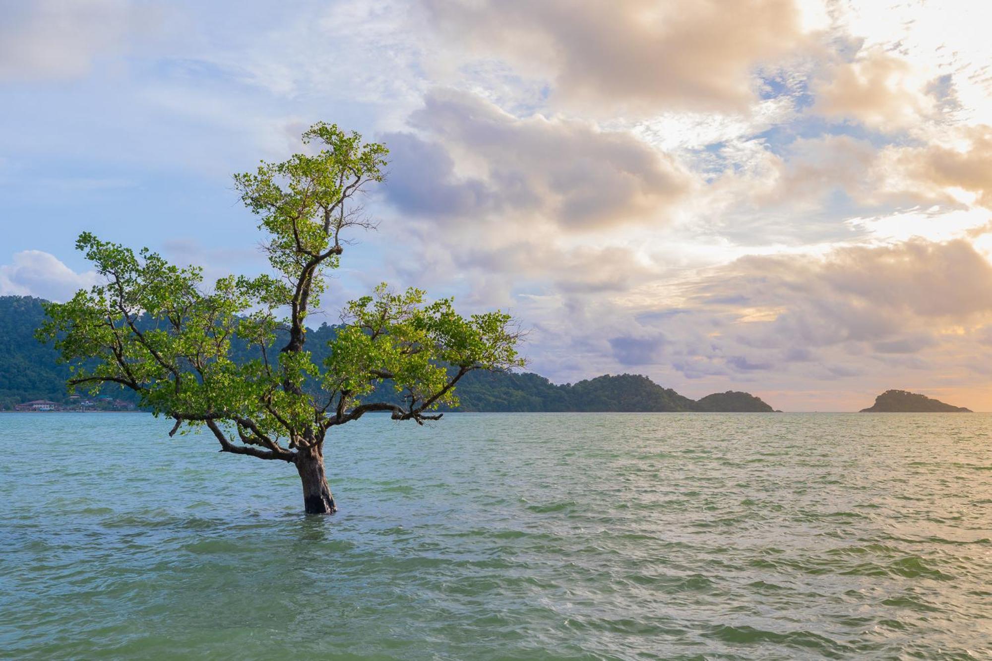 Utalay Koh Chang Villas Εξωτερικό φωτογραφία